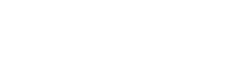 VSO Werkt